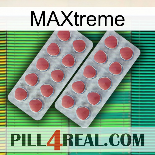 Maxtreme 19.jpg